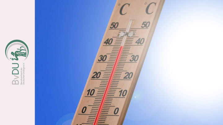 Foto von einem Thermometer, dass 38 Grad anzeigt.