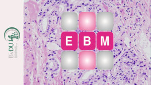 Prostatakarzinom als Schnitt unter dem Mikroskop. Im Vordergrund: EBM-Logo