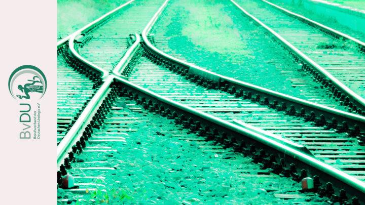 Bild von Bahn-Schienen, grafisch verfremded in grün